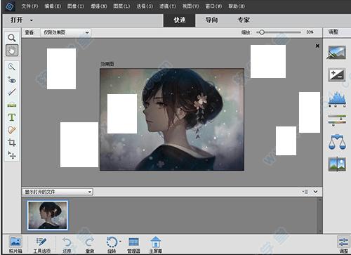 Adobe Photoshop Elements for Mac 2021 v19.0 中文破解版